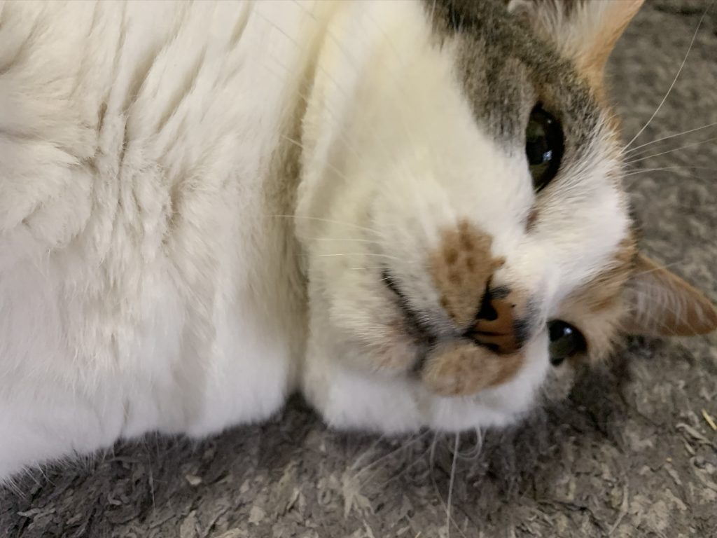 悩み‥