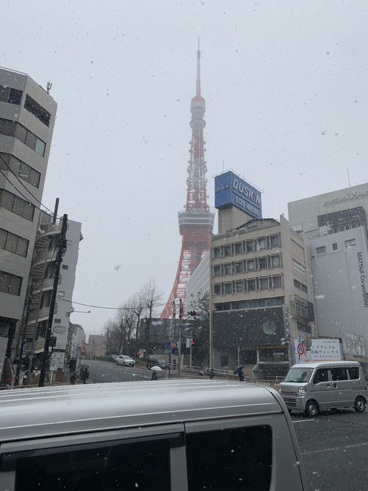 大雪☃️