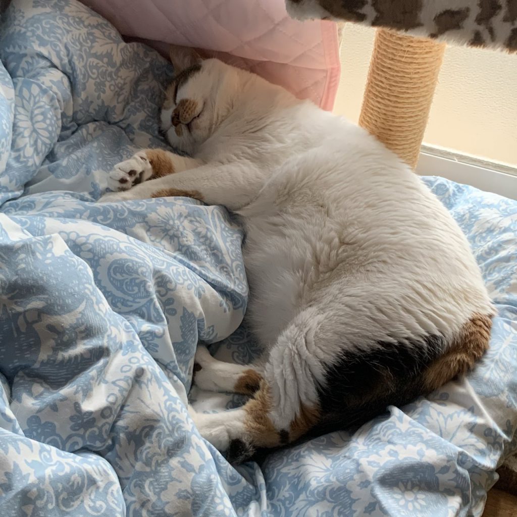 久しぶり！