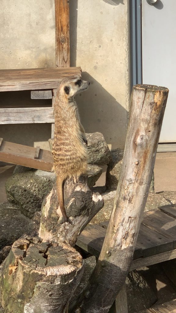 久々の動物園！